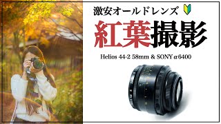 【ヘリオス44-2】紅葉撮影をオールドレンズで撮るとエモい写真になる