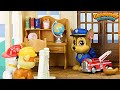 Paw Patrol get a New House & Go to the Shopping Mall - Learning Video for Kids!