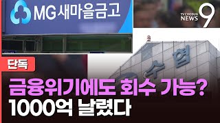 [단독] 새마을금고·수협, 해외투자로 1000억 날렸다