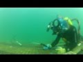 Underwater Welding Nuclear Power Plant (NEDCON Intl.) Underwater Welding Nuclear Power Plant (NEDCON Intl.)