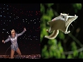 Lady Gaga the Flying Squirrel