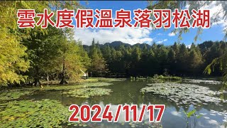 南庄雲水度假溫泉森林落羽松青黃之間2024:11/17