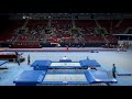 SANTOS Ricardo (POR) - 2017 Trampoline Worlds, Sofia (BUL) - Qualification Trampoline Routine 2