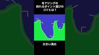 冬アジングのよく釣れるポイント選びのコツは？  #冬アジング#アジング#アジング初心者 #fishing#ajing