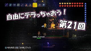 [PS3版テラリア]自由にテラっちゃおう！第21回「ダンジョンのレアドロップ紹介！」