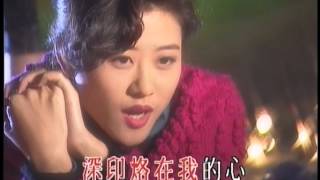 林帆 Evelyn Lam《能不能夠停止愛你(國)》Official 官方完整版 [首播] [MV]