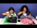 SIRI VS ALEXA PICKS MY SLIME INGREDIENTS