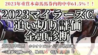 【マイラーズC2023】追切評価！シュネルマイスターは休み明けでも強いのか！？妙味有る穴馬も紹介！！