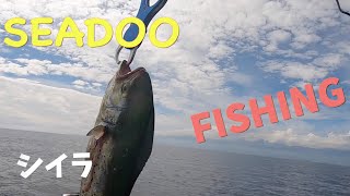 SEADOO にてFISHING！　シイラ、カンパチを釣りました！