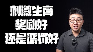 未来国家可能会出台哪些刺激生育的政策