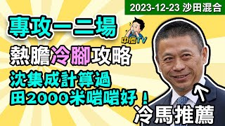 【中佬賽馬貼士】（12月23日沙田混合）專攻一二場｜熱膽冷腳攻略｜沈集成計算過田2000米啱啱好！冷馬推薦｜賀賢雙馬齊下長途2000米拉頭馬！#賽馬賠率 #賽馬直播 #賽馬貼士#冷馬#高風險#高回報