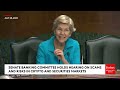 elizabeth warren ‘crypto has made it faster and cheaper than ever before to rip off consumers’