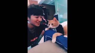 TOP different: cats 🐈 vs dogs 🐕 funny part 6