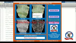 Maize Leaf Disease Detection Using Deep Learning CNN | With Source Code | Matlab Project Code