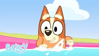 Nuovo Bluey - I Corti | PARTE 1\u00262 📺 | Bluey Italiano Canale Ufficiale