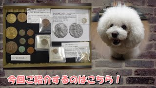 幸運を招くうわさのビションフリーゼ文庫犬エリゼ⑩お金は歴史なり