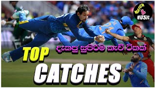 කාලෙකින් දැකපු හොඳම කැච් ටිකක්..| best catches | 😍