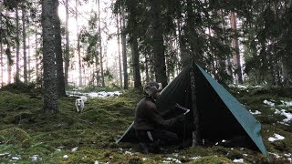 Bushcraft trip - tipi tarp setup, cooking, spruce tea, swedish axe and saw