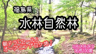 【2分で分かる名所100選】水林自然林《朝ドラ｢エール｣オープニングロケ地》福島市