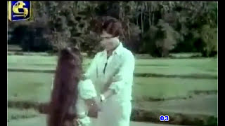 Oba Pibidila Eya ඔබ පිබිදිලා ඇය පිබිදිලා (මුල් ගීතය)  - Ivor Dennis - 'Devani Gamana' (1984)