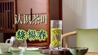 【茶叶知识】你喝过绿杨春吗？品品来自扬州的绿茶