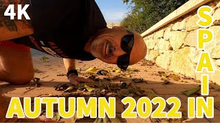 AUTUMN 2022 IN SPAIN - GUARDAMAR AND TORREVIEJA -TOUR  - 4K