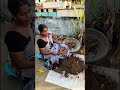 మొదటి సారి పసుపు ను పండించాను youtubeshorts shortvideo gardening trending