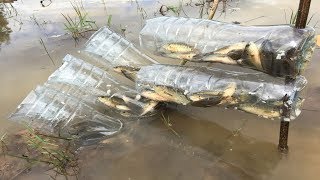 Believe This Fishing? Unique Fish Trapping System Using Long Pipe & 5 Small Plastic Bottle
