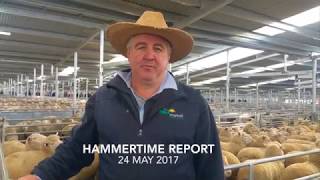 Hammer Time Report - 24 May