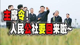 习近平主席令：公布《农村集体经济组织法》，新时代的人民公社正在不远的未来向我们挥手（2024-06-29第2153期）