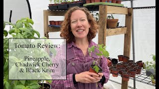 Tomato Review: Pineapple, Chadwick Cherry \u0026 Black Krim