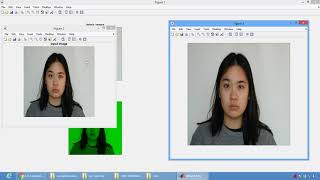 Robust Iris Segmentation using MATLAB
