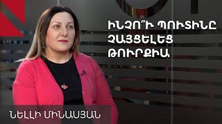 Թուրքիային ձեռնտու չէ ԱՄՆ-ի միջնորդությունը Կովկասում․ Նելլի Մինասյան