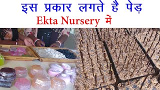 ekta nursery garden statue of unity, ekta nursery kevadiya, best place in Gujarat tour India, sou