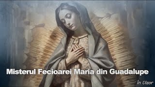 MISTERUL FECIOAREI MARIA DIN GUADALUPE