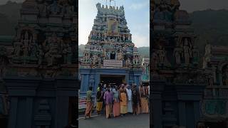 Muruga 🦚🐓🦚 #shorts #new #temple #murugan #trending #shortsfeed #devotional #trendingshorts #madurai