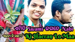 ବହୁତ ପୁରୁଣା ଭିଡ଼ିଓ🤓|ଏମିତି ସ୍ୱାମୀ ଜଗତେ ନାହିଁ|ଏଇଟା କି ଗଛ 🌱||କି ହଇରାଣ ଲୋ ମା 😭😭 |@odiavloggerSudipta