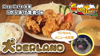 からあげ定食他【ミサワ Good Taste！】Dog Cafe お菊