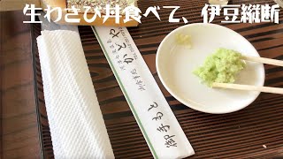 [河津] 生わさび丼食べて、伊豆縦断