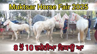 Muktsar Horse Fair 2025 ਵਿੱਚ 8 ਤੋੰ 10 ਵਸ਼ੇਰੀਆ ਵਿਕਾਉ ਆ m.99155-49555