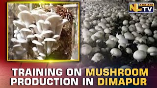 NABARD CONDUCTS TRAINING ON MUSHROOM PRODUCTION IN DIMAPUR