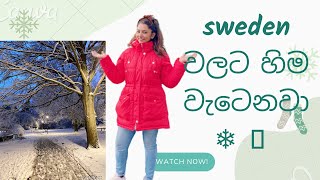 Sweden වලට හිම වැටෙනවා බලමුද? | Swed  Miracle | sinhala 🇸🇪🌨️