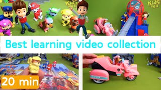 Unboxing Paw Patrol |Best Learning Video |Paw Patrol Surprise Toys Adventure City
