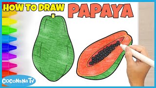 PAPAYA (PEPAYA) - How to Draw and Color - Coconana