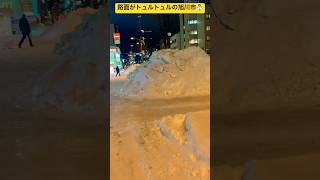 【北海道旭川市】路面がトュルトュルな旭川市☃️ 現在の気温-6°❄️ #ninjya #shorts #旭川市 #景色 #hokkaido #北海道 #雪 #大雪