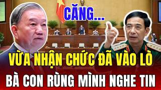 Tin tức việt nam thời sự mới nhất ngày 11/4/2026 ✈ Tin Nóng Chính Trị Việt Nam và Thế Giới
