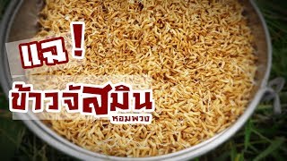 ครั้งแรกปลูกข้าวจัสมิน ตามกระแส!! | จัสมินเดอะซีรี่ส์ EP.1