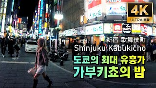 【4k】일본 도쿄 최대 유흥가 가부키쵸의 밤 Tokyo Red Light District - Shinjuku Kabukicho #신주쿠 #가부키쵸 #歌舞伎町