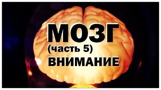 Галилео. Мозг (часть 5): Память