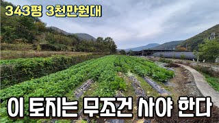 (정지)경산시 용성면 3천만원대 343평 토지 무조건 잡아야 한다